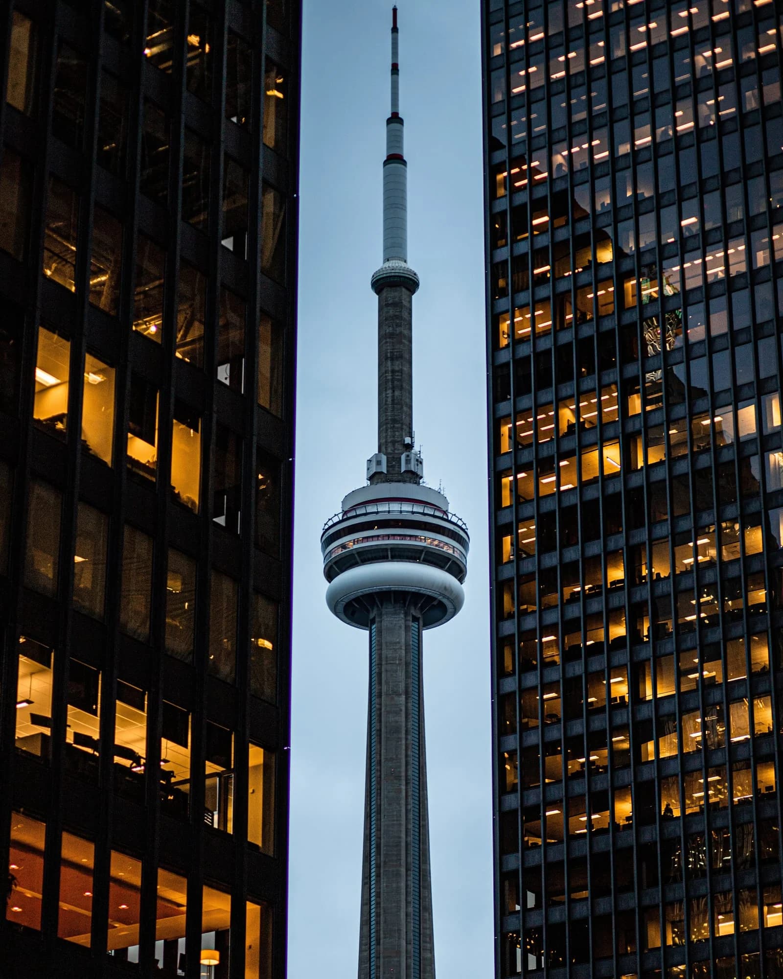 Observation tower rising above a forest canopy, used as a visual example of place-based destination search context.