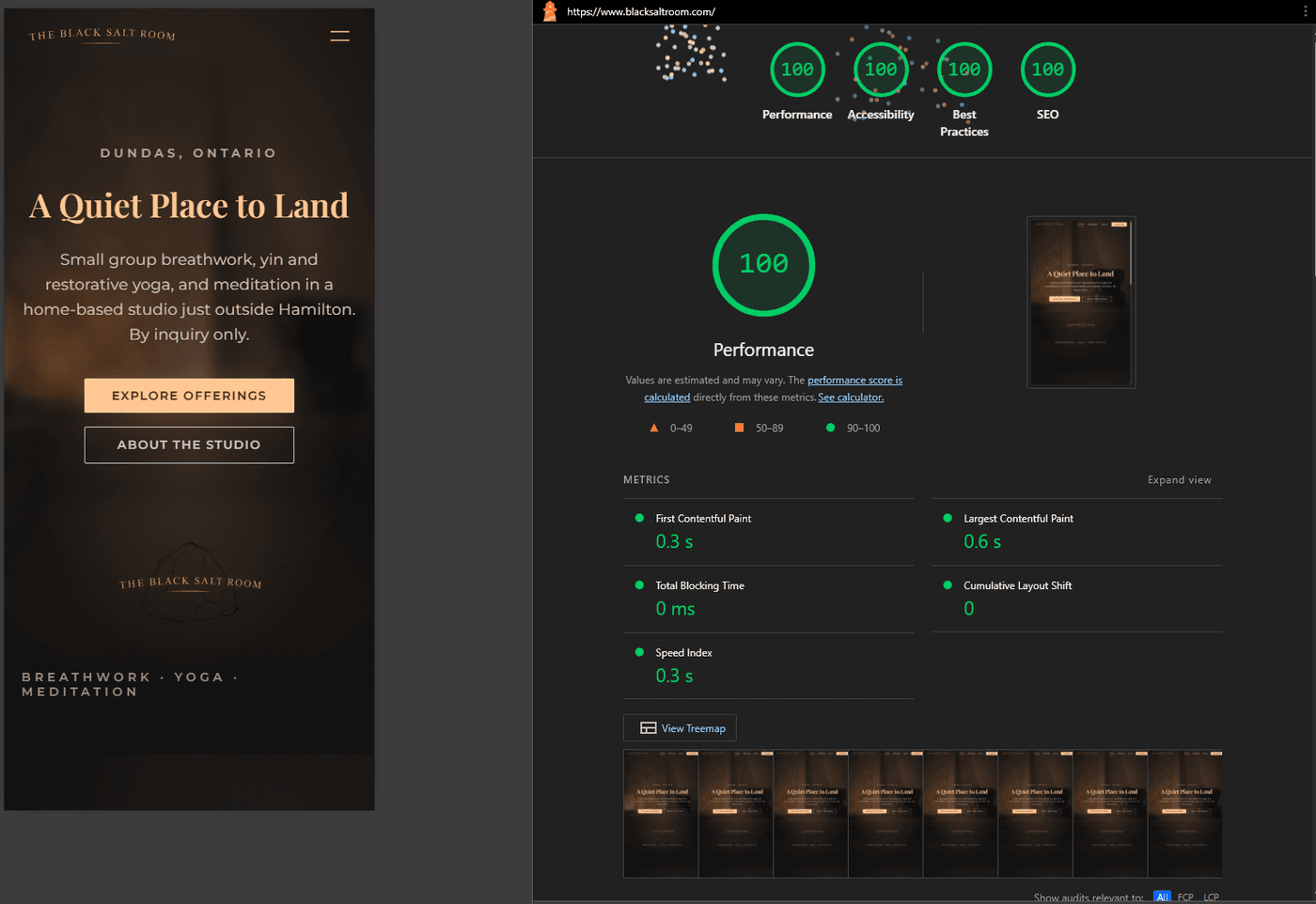 Lighthouse desktop report for blacksaltroom.com showing 100 across Performance, Accessibility, Best Practices, and SEO. First Contentful Paint 0.3 seconds, Largest Contentful Paint 0.6 seconds, Total Blocking Time 0 milliseconds, Cumulative Layout Shift 0, Speed Index 0.3 seconds.