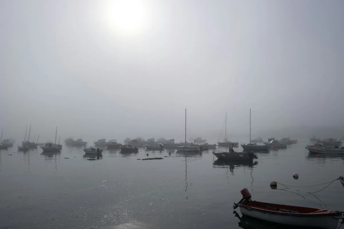 Sailboats moored in a foggy harbour at sunrise