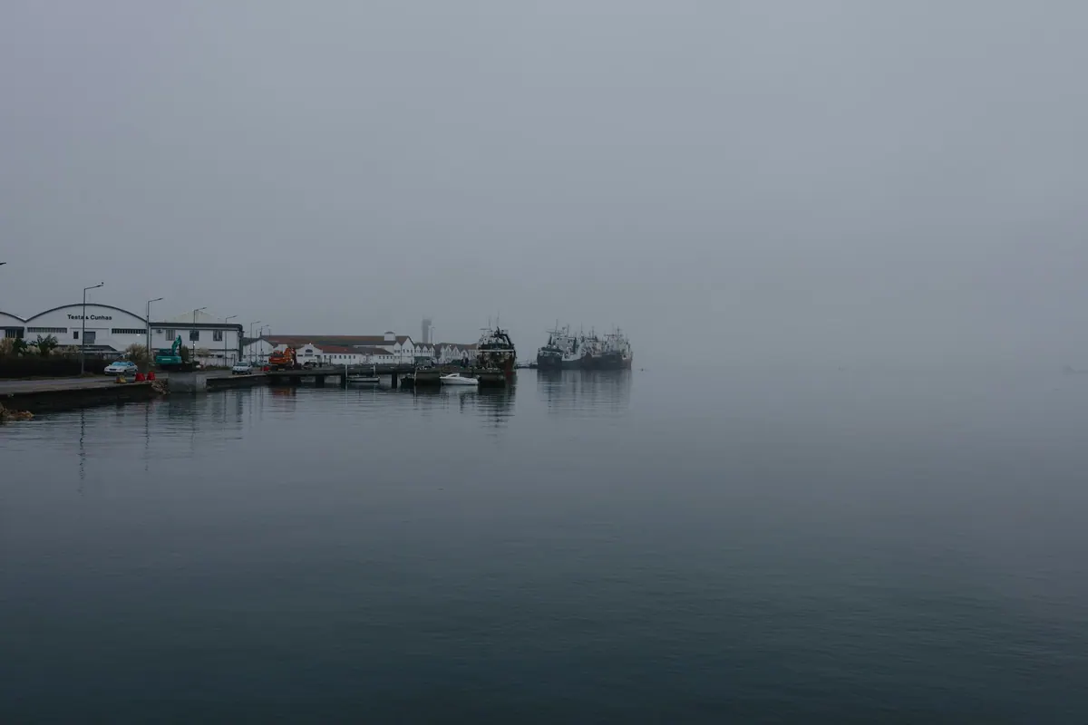 Boats docked in a foggy harbour on calm water