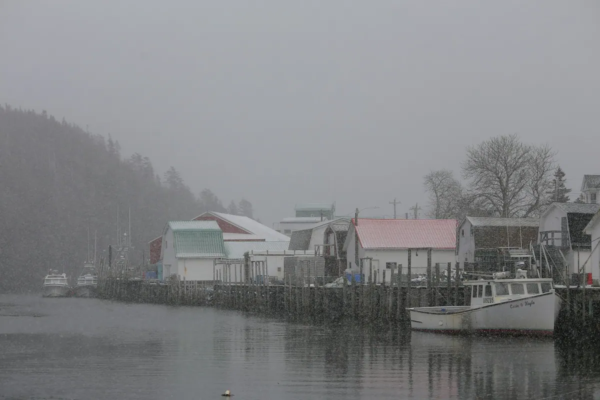 White and red houses beside the water in daylight