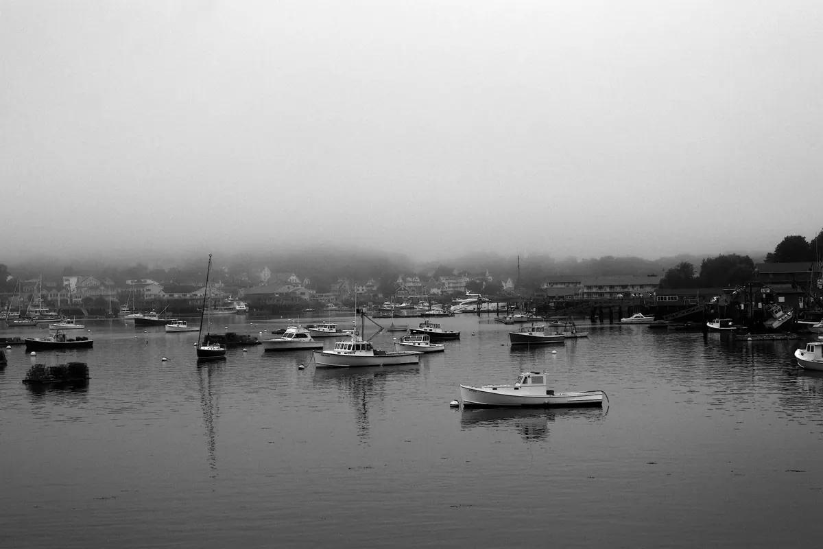 Boats in a harbour, in black and white